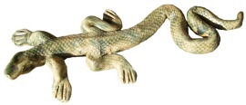 Wall Lizard