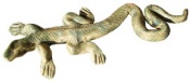 Wall Lizard