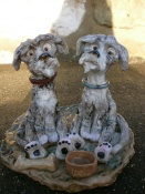 Dogs