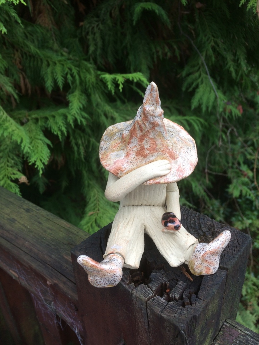 Boy shy fairy