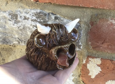 Highland Cow