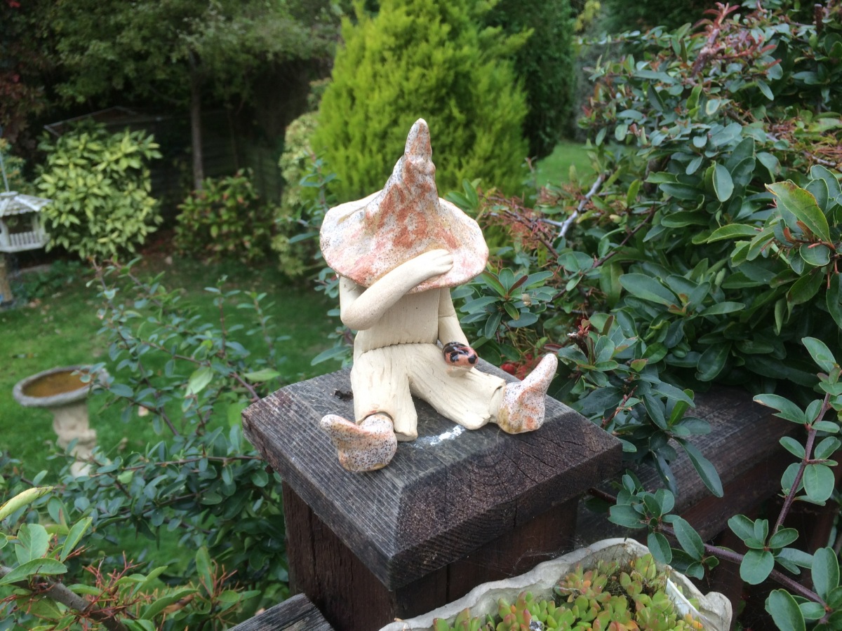 Boy shy fairy