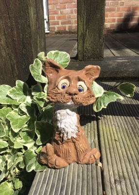 Pussycat