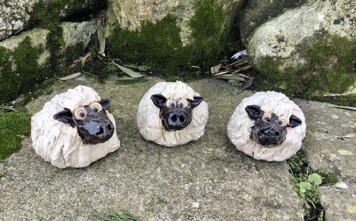 Sheep
