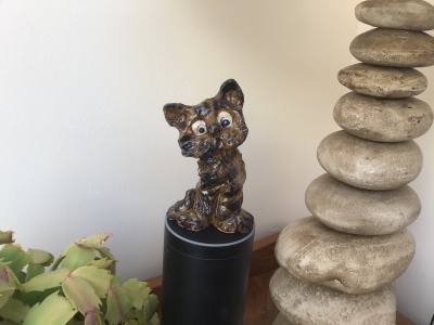 Pussycat