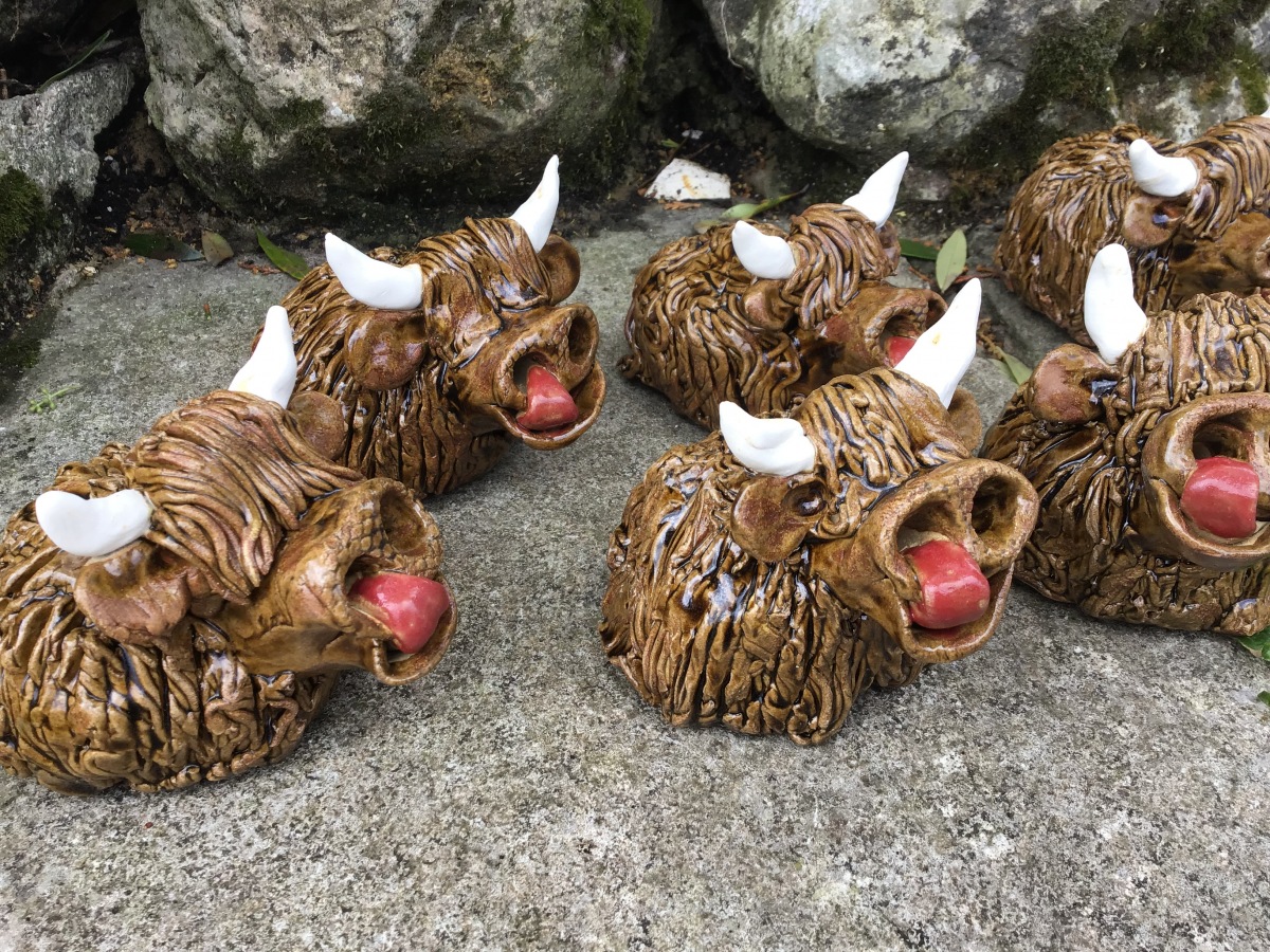 Highland Cow