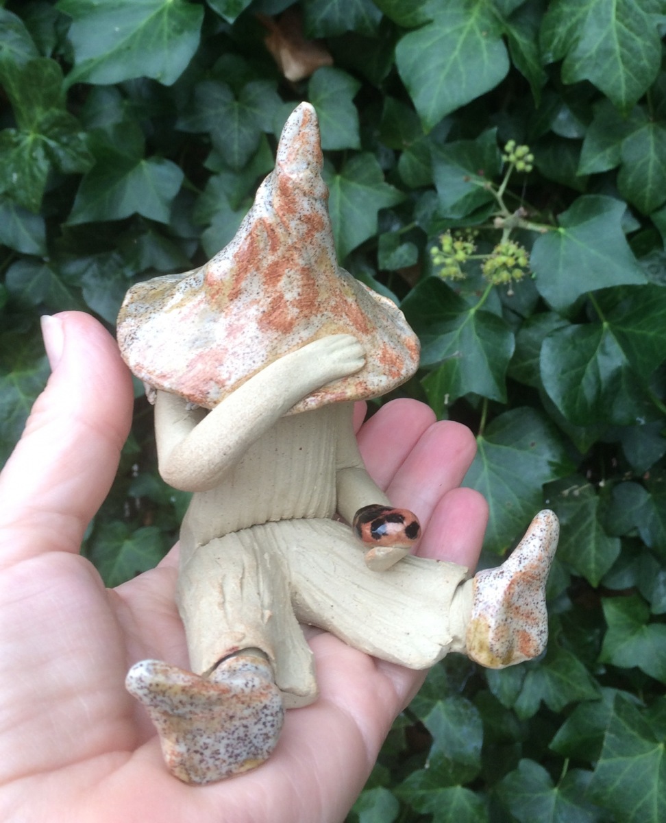 Boy shy fairy