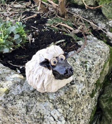 Sheep