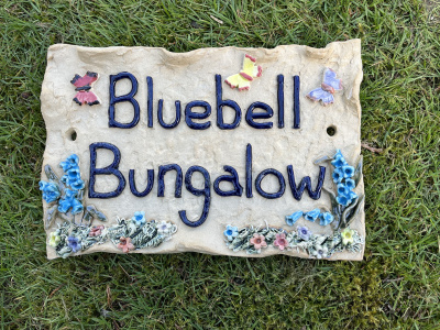 Bluebells, wild flowers and butterflies